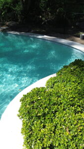pool landscaping newcastle pools pty ltd